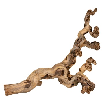 Trixie Reptiland  - konar winorośla - 40 - 60 cm