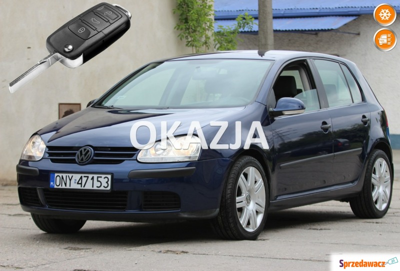 Volkswagen Golf  Hatchback 2005,  1.9 diesel - Na sprzedaż za 12 500 zł - Nysa