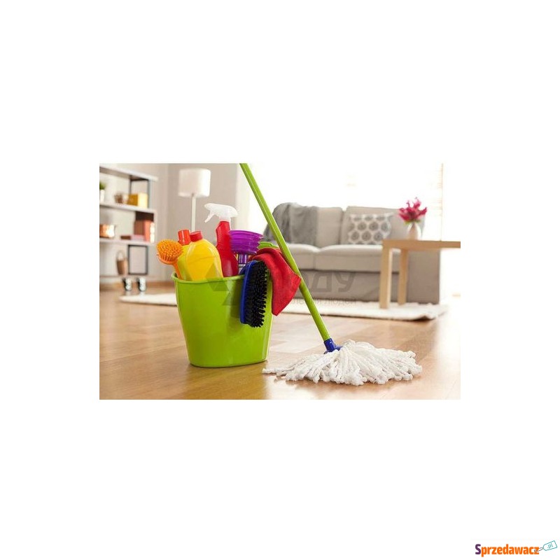 Sprzątanie domów i mieszkań - Pomoc domowa, sprzątanie - Częstochowa