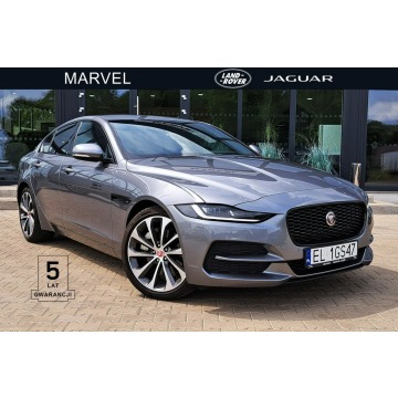 Jaguar XE 2.0D I4 204 KM AWD Auto SE 2023 EigerGrey SalonPL FV23%