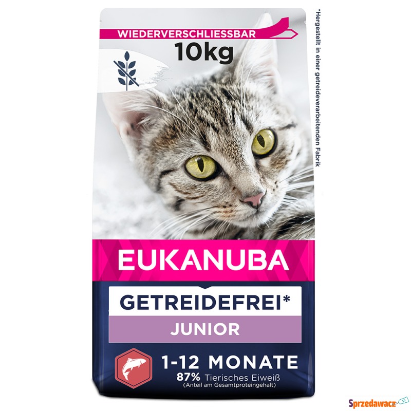 Eukanuba Kitten Grain Free, z łososiem - 10 kg - Karmy dla kotów - Brzeg
