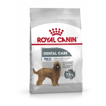 Royal Canin Maxi Dental Care dla psów - 2 x 9 kg
