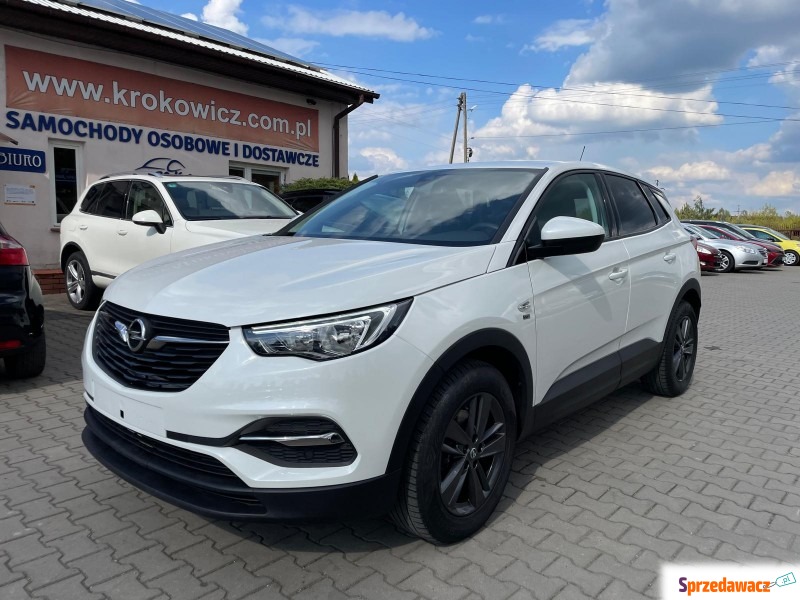 Opel Grandland X  SUV 2020,  1.2 - Na sprzedaż za 74 200 zł - Malutkie
