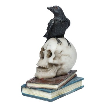 Kruk na czaszce i książkach - figurka dekoracyjna wys. 10cm