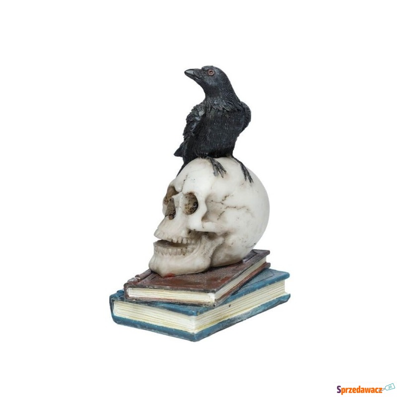 Kruk na czaszce i książkach - figurka dekorac... - Figurki, rzeźby - Chorzów