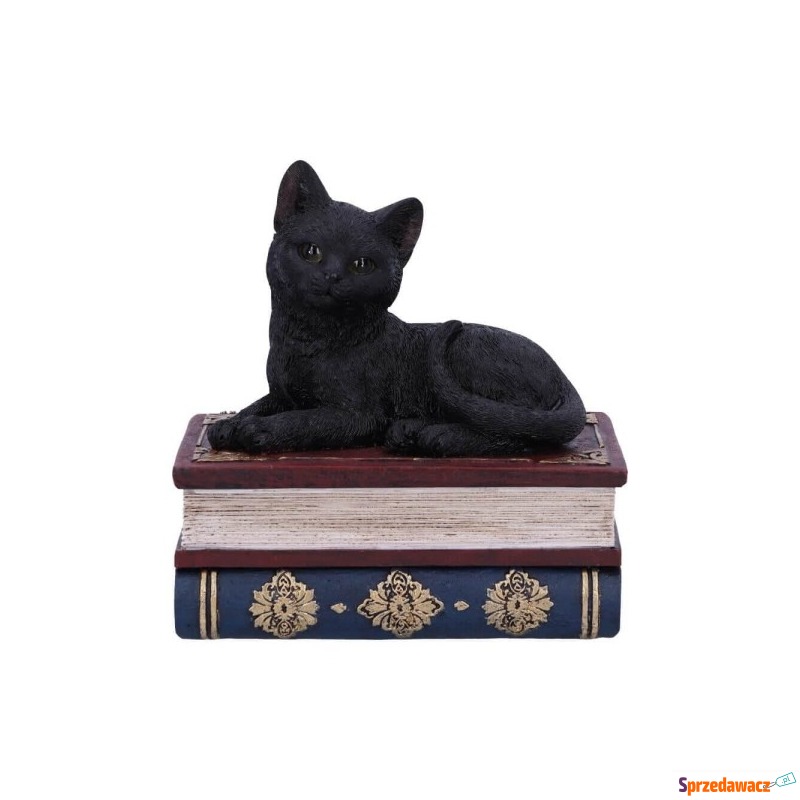 Kot i książki "salems spell" - szkatułka z kotem - Szkatułki - Starachowice