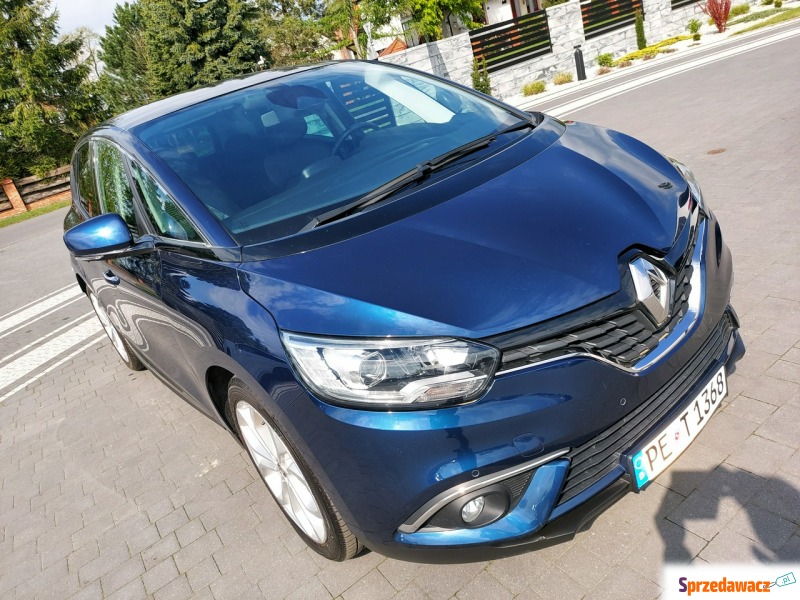 Renault Scenic  Hatchback 2019,  1.8 diesel - Na sprzedaż za 55 900 zł - Drelów