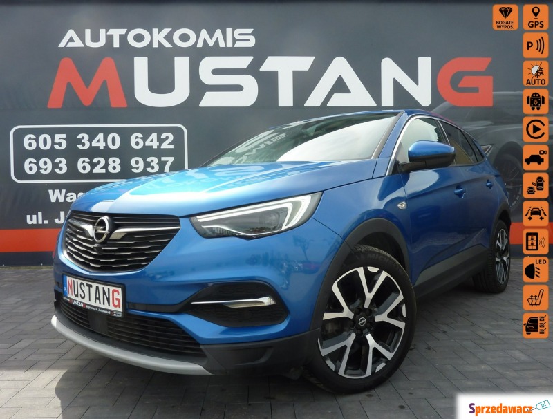 Opel Grandland X  SUV 2019,  1.2 benzyna - Na sprzedaż za 79 900 zł - Wągrowiec
