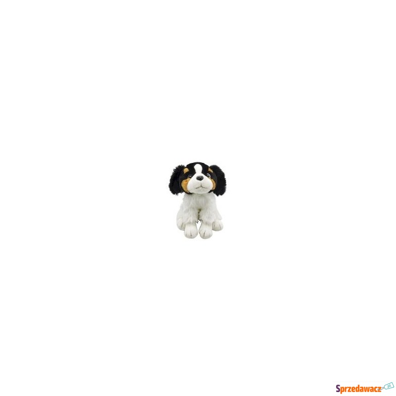  Pluszowy pies siedzący white black Anek - Maskotki i przytulanki - Ostrołęka