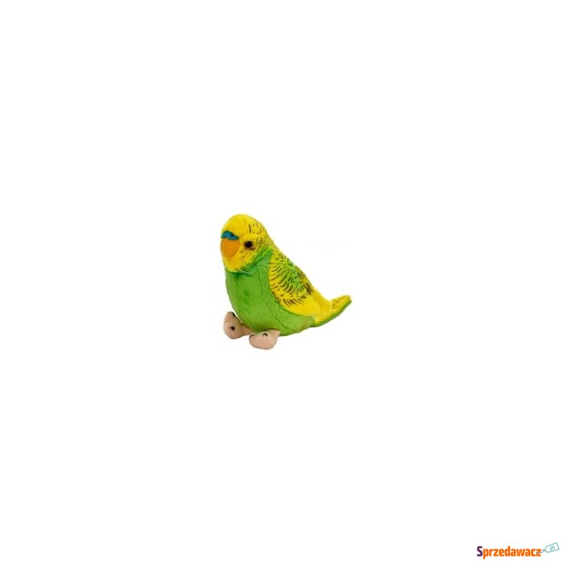  Papuga falista zielono-żółta 13cm Beppe - Maskotki i przytulanki - Końskie