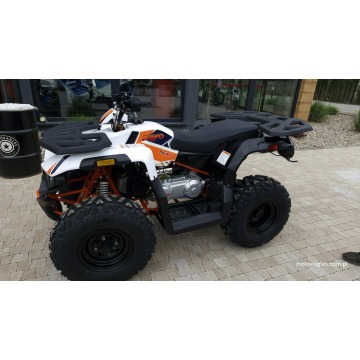 SALON MOTOCYKLOWY MOTOEAGLES Kayo AU 180 Sprawdż... - Quady - Bicz - zdjęcie 3