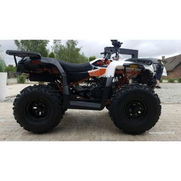 SALON MOTOCYKLOWY MOTOEAGLES Kayo AU 180 Sprawdż... - Quady - Bicz - zdjęcie 4