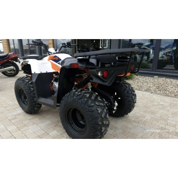 SALON MOTOCYKLOWY MOTOEAGLES Kayo AU 180 Sprawdż... - Quady - Bicz - zdjęcie 9
