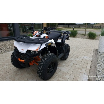 SALON MOTOCYKLOWY MOTOEAGLES Kayo AU 180 Sprawdż... - Quady - Bicz - zdjęcie 11