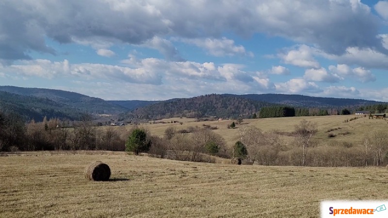 Działka rolno-budowlana Jasło sprzedam, pow. 4000 m2  (40a), uzbrojona