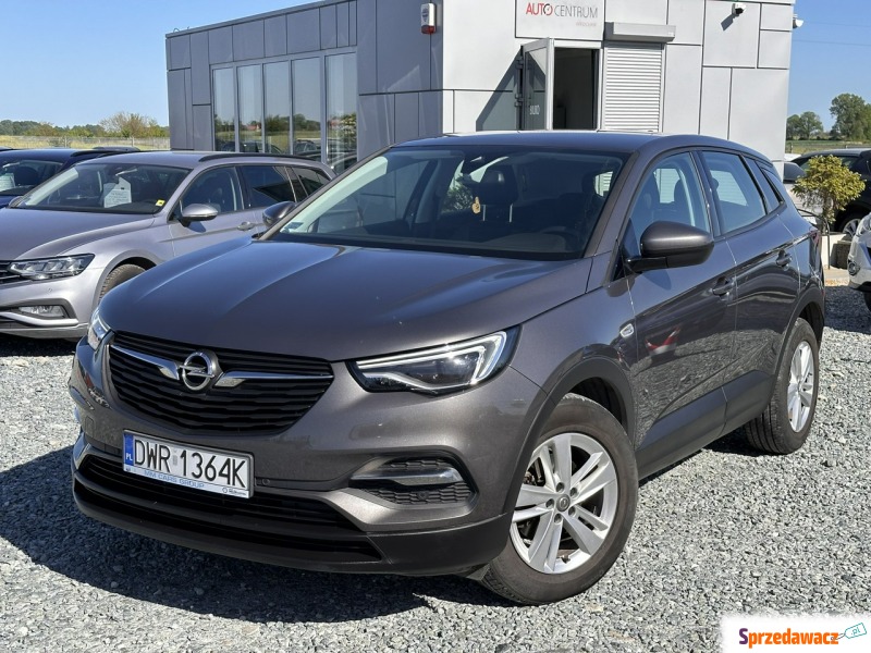 Opel Grandland X  SUV 2020,  1.2 benzyna - Na sprzedaż za 79 900 zł - Wojkowice
