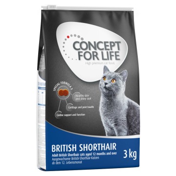 3 kg Concept for Life, karma sucha w super cenie! - British Shorthair Adult - ulepszona receptura!