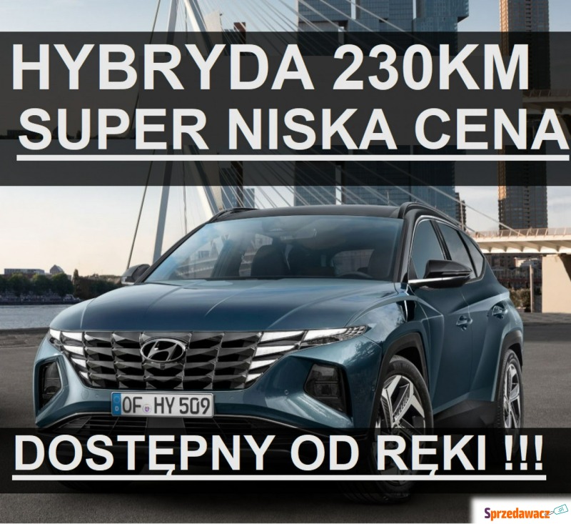 Hyundai Tucson  SUV 2024,  1.6 hybryda - Na sprzedaż za 154 900 zł - Szczecinek