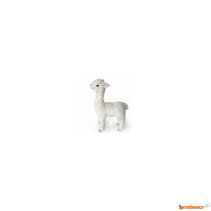  Alpaka biała 55cm Dubi - Maskotki i przytulanki - Jaworzno