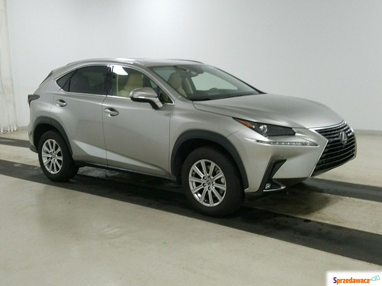 Lexus NX 2020