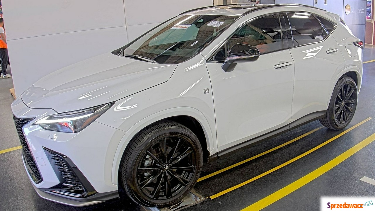 Lexus NX 2024