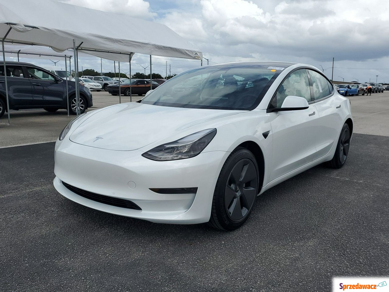 Tesla Model 3 2021