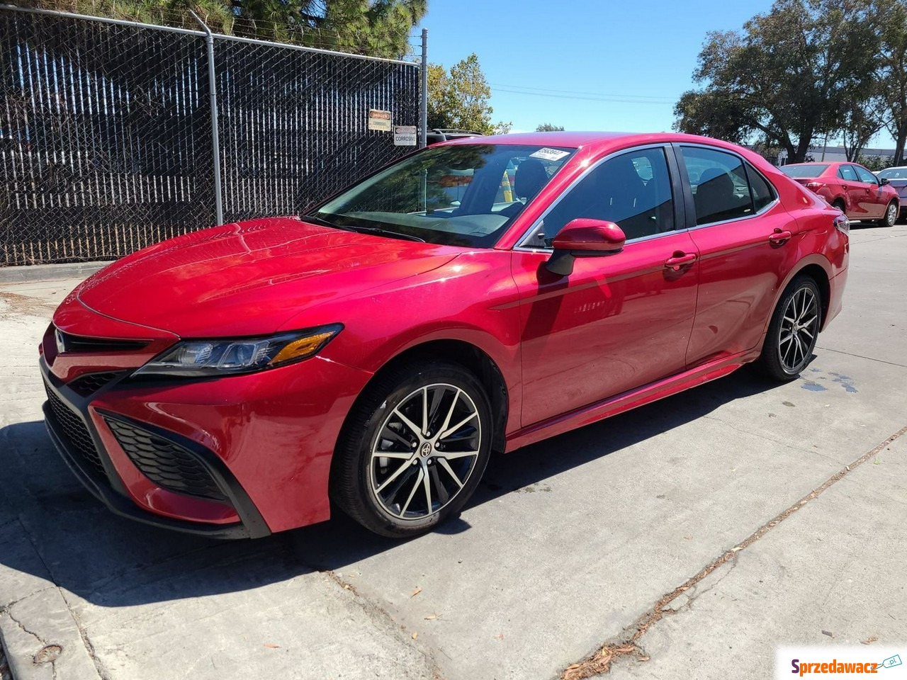 Toyota Prius 2019