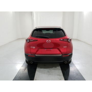 Mazda CX-30  SUV 2020,  2.5 benzyna, automat - Na sprzedaż za 78 843 zł - Katowice - zdjęcie 5