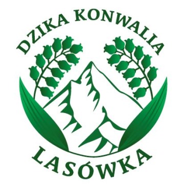 Dzika Konwalia - Noclegi Domki w Górach Lasówka Duszniki Polanica