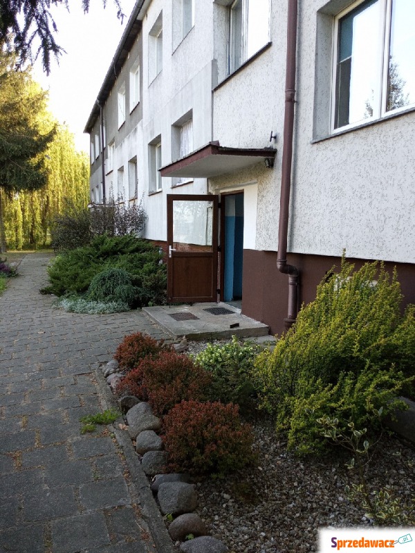 Mieszkanie  4 pokojowe Środa Śląska,   80 m2, parter - Do wynajęcia