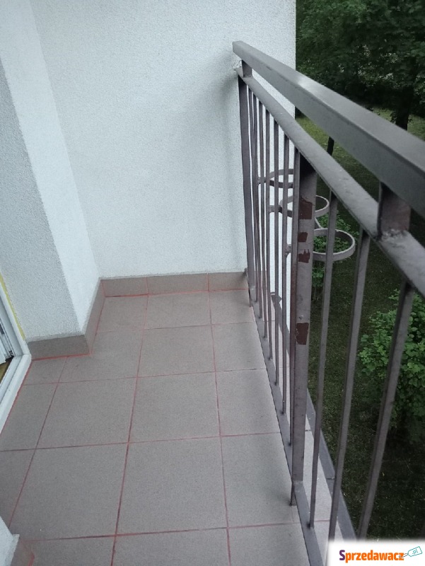 Sprzątanie balkonów po gołębiach Sosnowiec - Pomoc domowa, sprzątanie - Sosnowiec