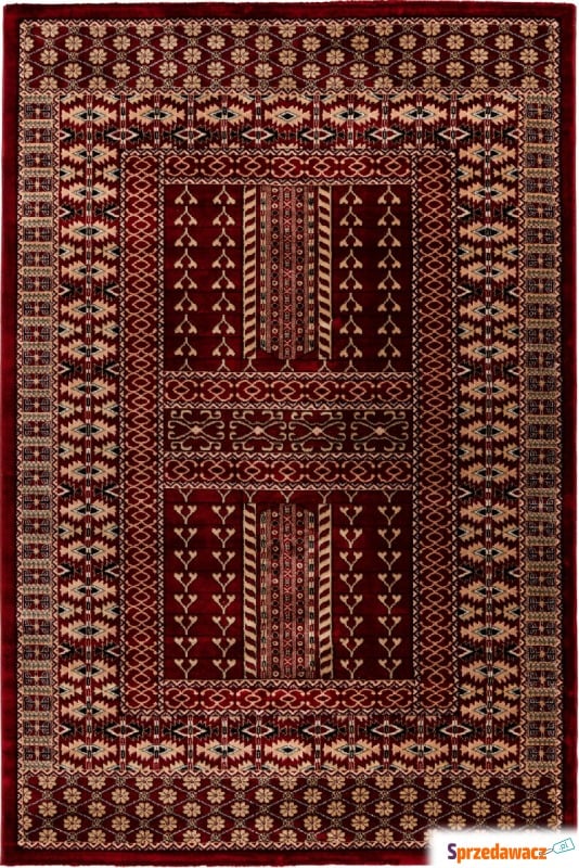 Dywan Ariana 883 160 x 230 cm czerwony - Dywany, chodniki - Bielsko-Biała