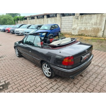 Opel Astra  Kabriolet 1994,  1.6 benzyna - Na sprzedaż za 7 900,00 zł - Świebodzin - zdjęcie 12