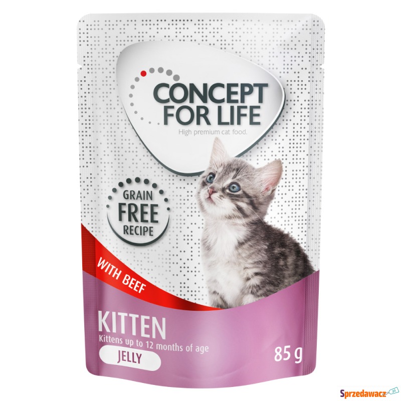 Concept for Life Kitten w galarecie, wołowina... - Karmy dla kotów - Inowrocław
