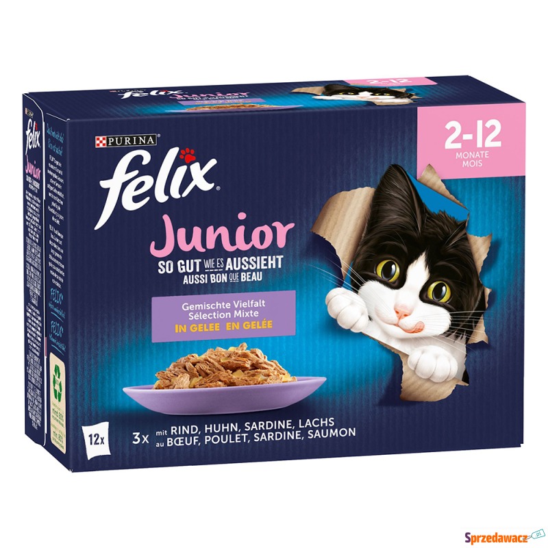 Felix Junior, w galarecie, So gut wie es aussieht,... - Karmy dla kotów - Olsztyn