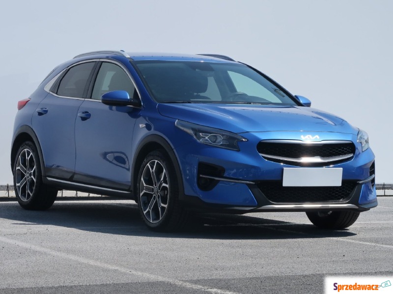 Kia   Hatchback 2021,  1.5 benzyna - Na sprzedaż za 97 999 zł - Lublin
