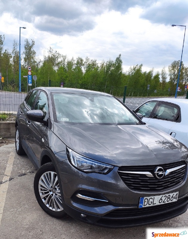 Opel Grandland X  SUV 2018,  1.6 diesel - Na sprzedaż za 64 321 zł - Głogów