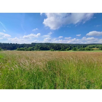 Działka rolna Czermna sprzedam, pow. 5600 m2  (56a) - zdjęcie 2