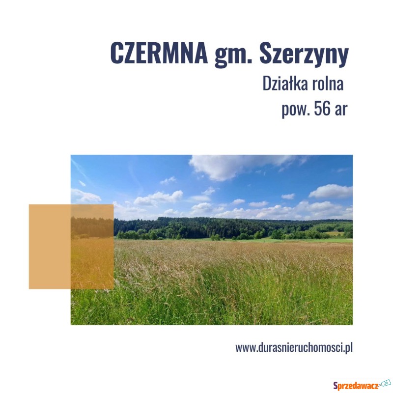 Działka rolna Czermna sprzedam, pow. 5600 m2  (56a)