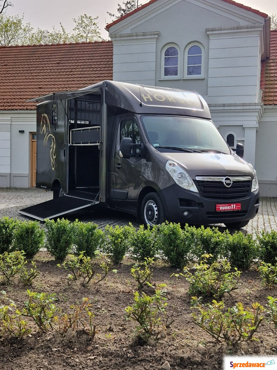 Opel Koniowóz - Movano - Konio...