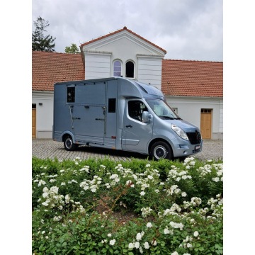 Renault Koniowóz - Master - Koniowóz, 4Miejsc... - Pojazdy specjalistyczne - Kutno - zdjęcie 4