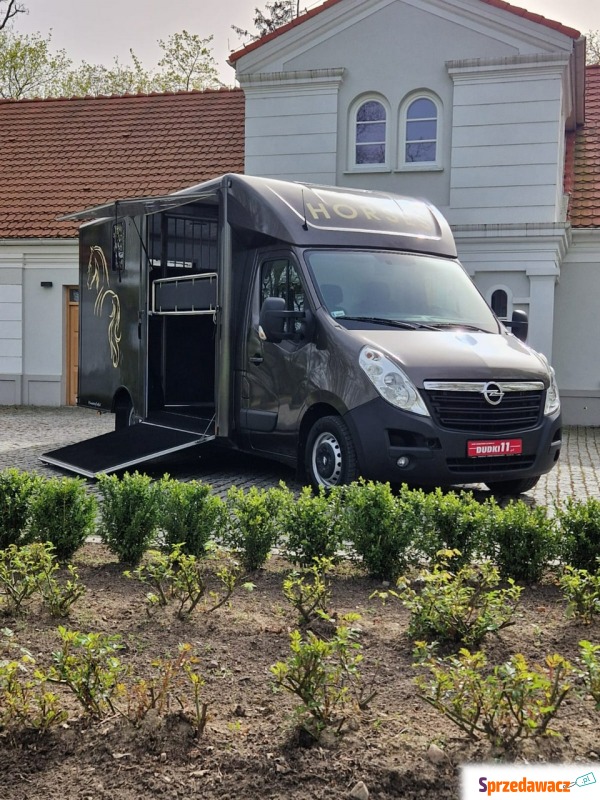 Opel Movano 2019,  2.3 diesel - Na sprzedaż za 189 900 zł - Kutno