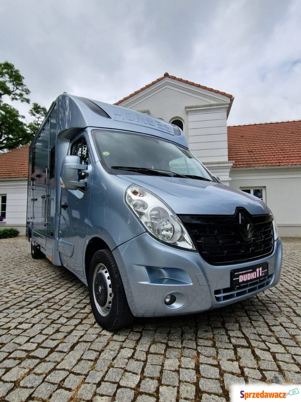 Renault Master - Koniowóz, 4 Miejsca, Zabudowa... - Dostawcze i ciężarowe - Kutno