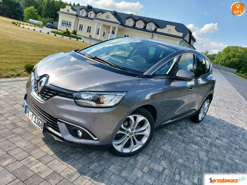 Renault Scenic  Hatchback 2019,  1.2 benzyna - Na sprzedaż za 55 900 zł - Drelów