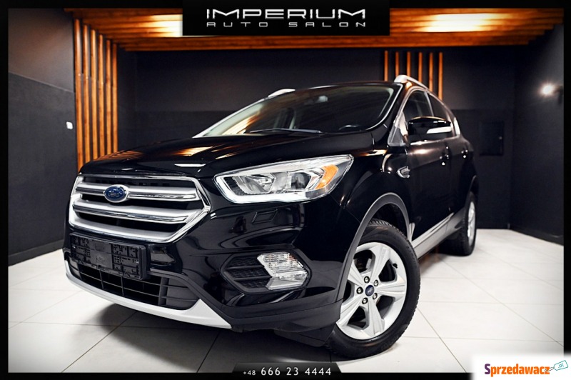 Ford Kuga - 15i 150km Titanium Eco Boost Navi... - Samochody osobowe - Banino