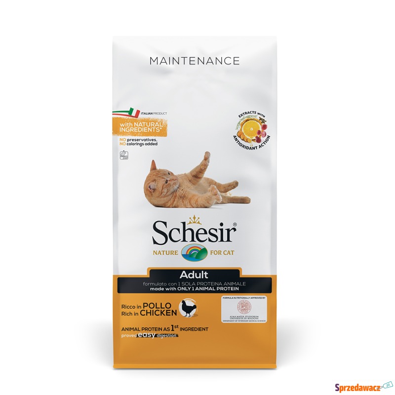 Schesir Adult Maintenance, kurczak - 10 kg - Karmy dla kotów - Zamość