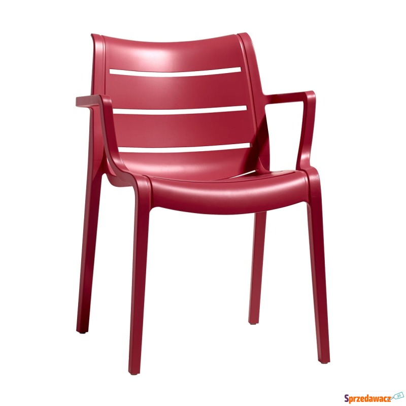 Krzesło Sunset - czerwony - Krzesła kuchenne - Zielona Góra