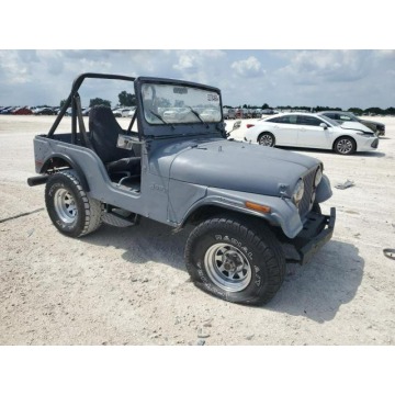 Jeep Wrangler  SUV 1973,  5.0 benzyna, automat - Na sprzedaż za 7 380,00 zł - Katowice - zdjęcie 3
