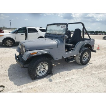 Jeep Wrangler  SUV 1973,  5.0 benzyna, automat - Na sprzedaż za 7 380,00 zł - Katowice - zdjęcie 4