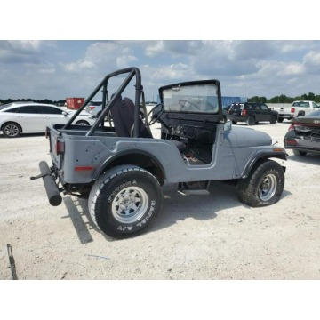 Jeep Wrangler  SUV 1973,  5.0 benzyna, automat - Na sprzedaż za 7 380,00 zł - Katowice - zdjęcie 7